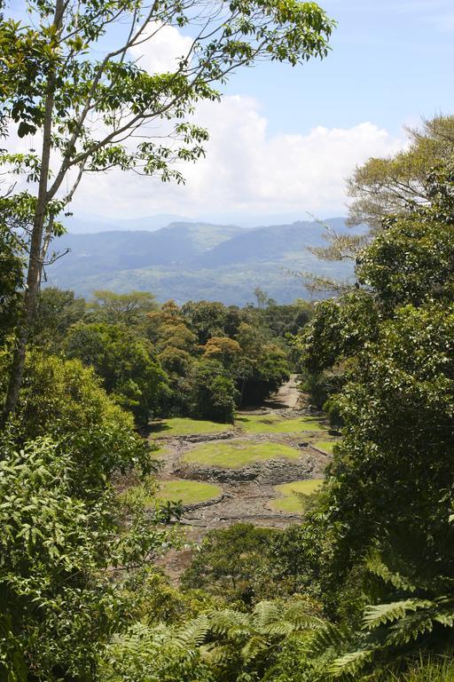 Turrialba Bed & Breakfast Eksteriør bilde