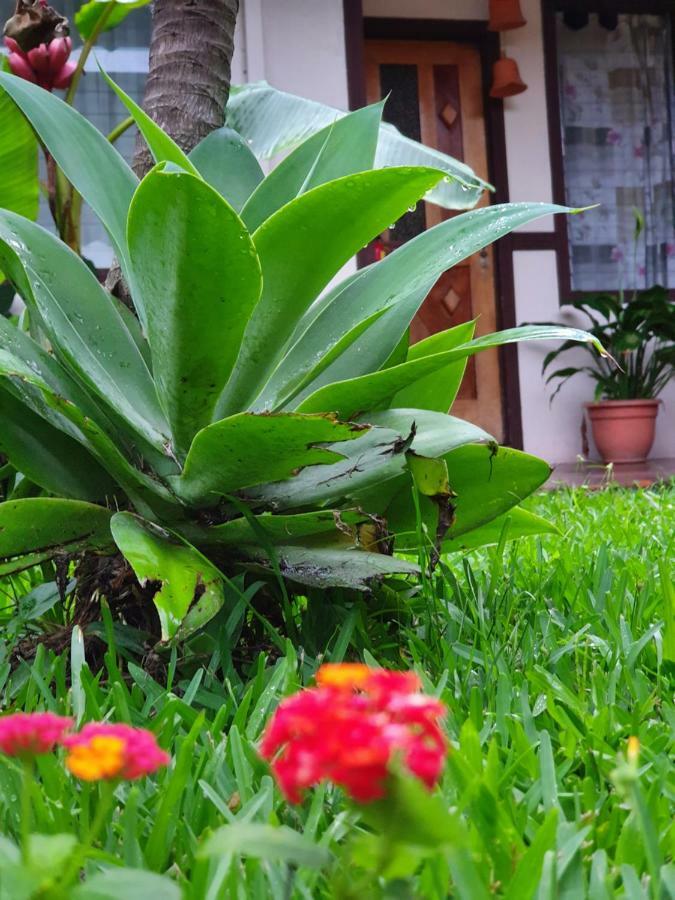 Turrialba Bed & Breakfast Eksteriør bilde