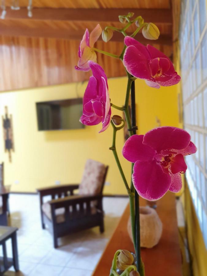 Turrialba Bed & Breakfast Eksteriør bilde