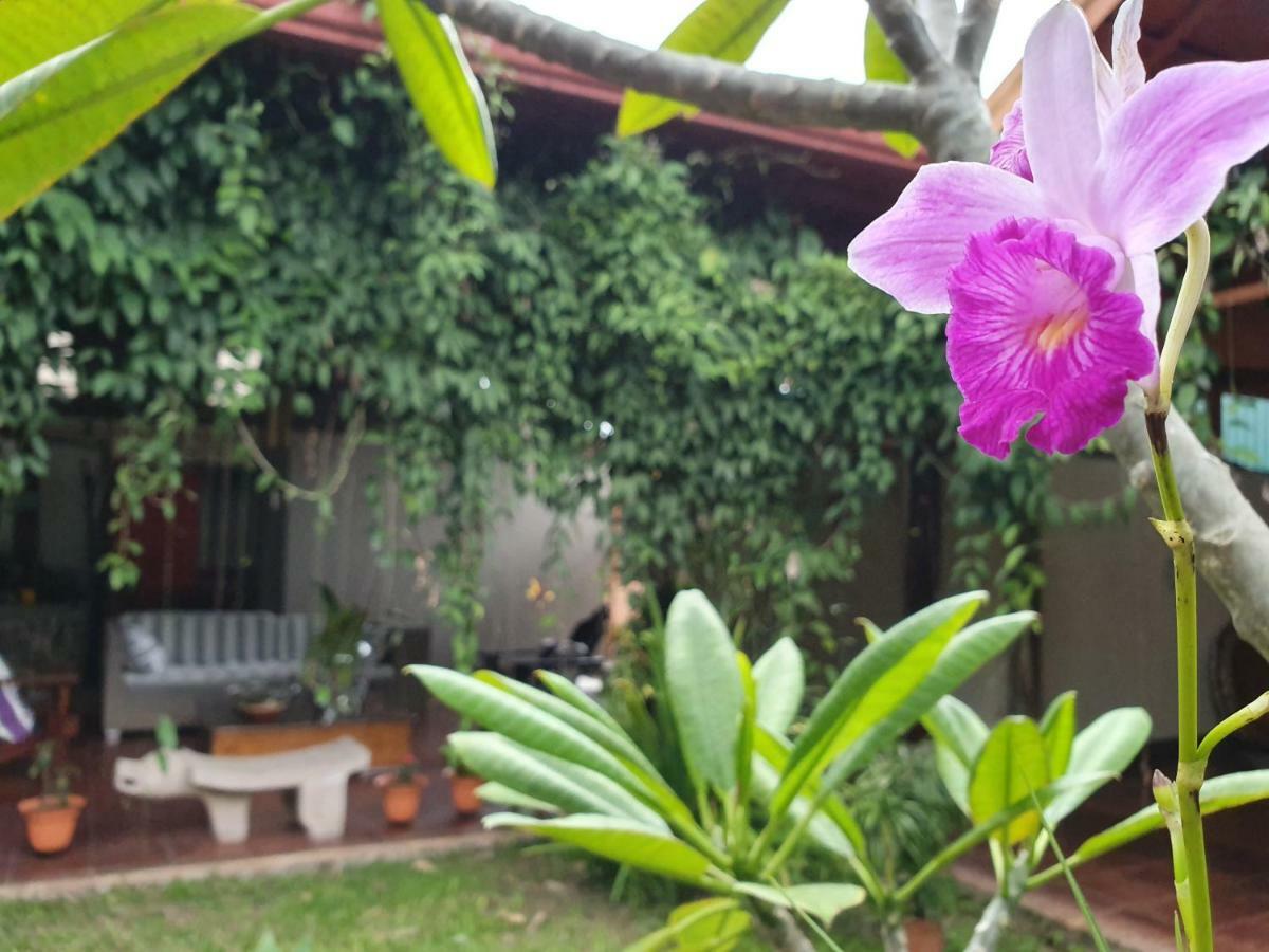 Turrialba Bed & Breakfast Eksteriør bilde