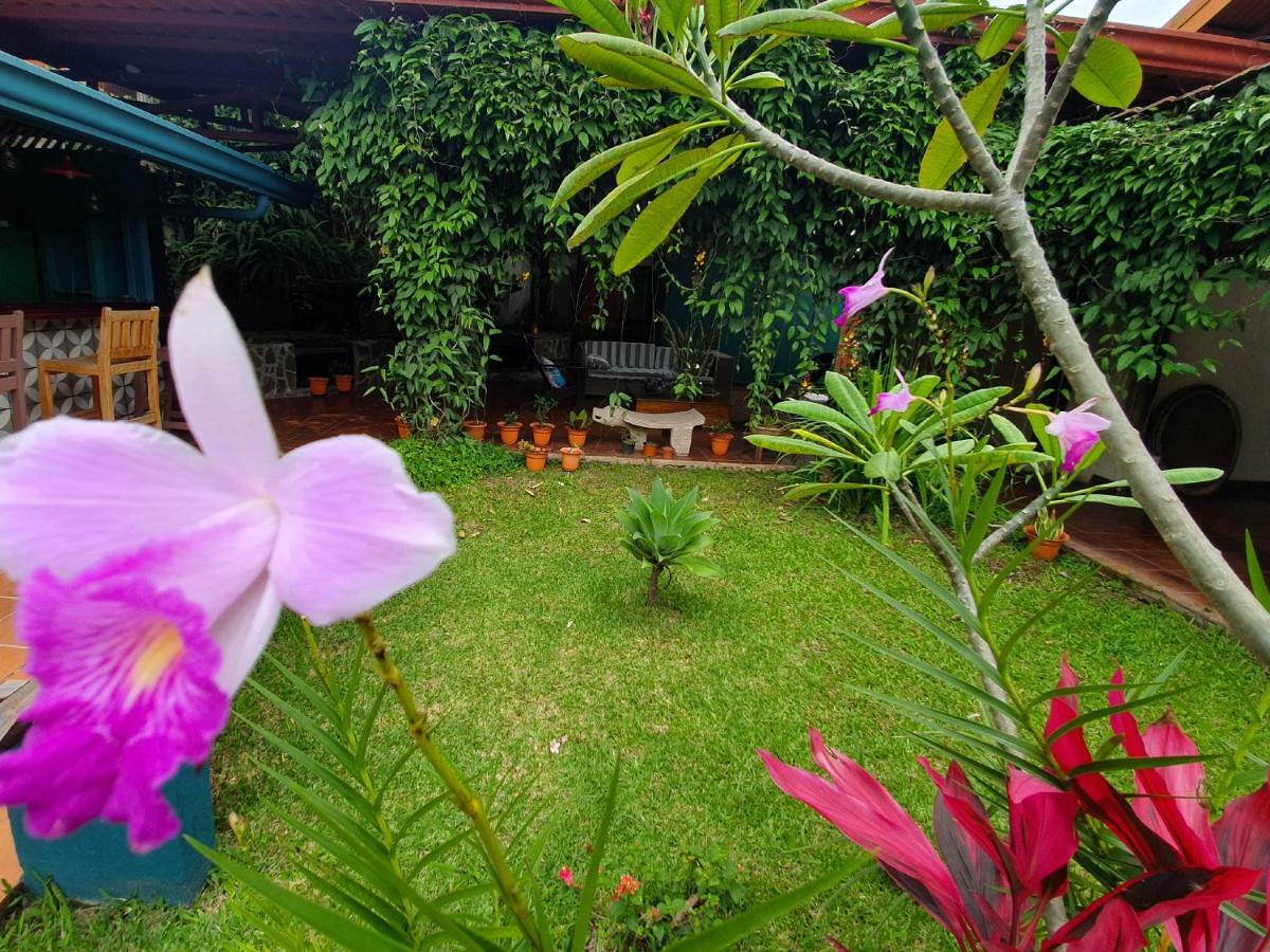 Turrialba Bed & Breakfast Eksteriør bilde
